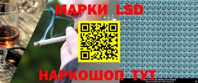 гидропоника Гусев