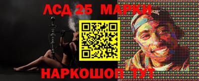гидропоника Гусев