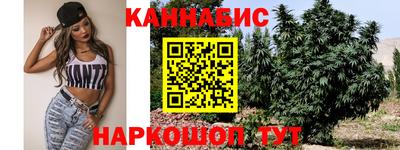 прущие грибы Гусиноозёрск