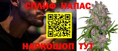 прущие грибы Гусиноозёрск